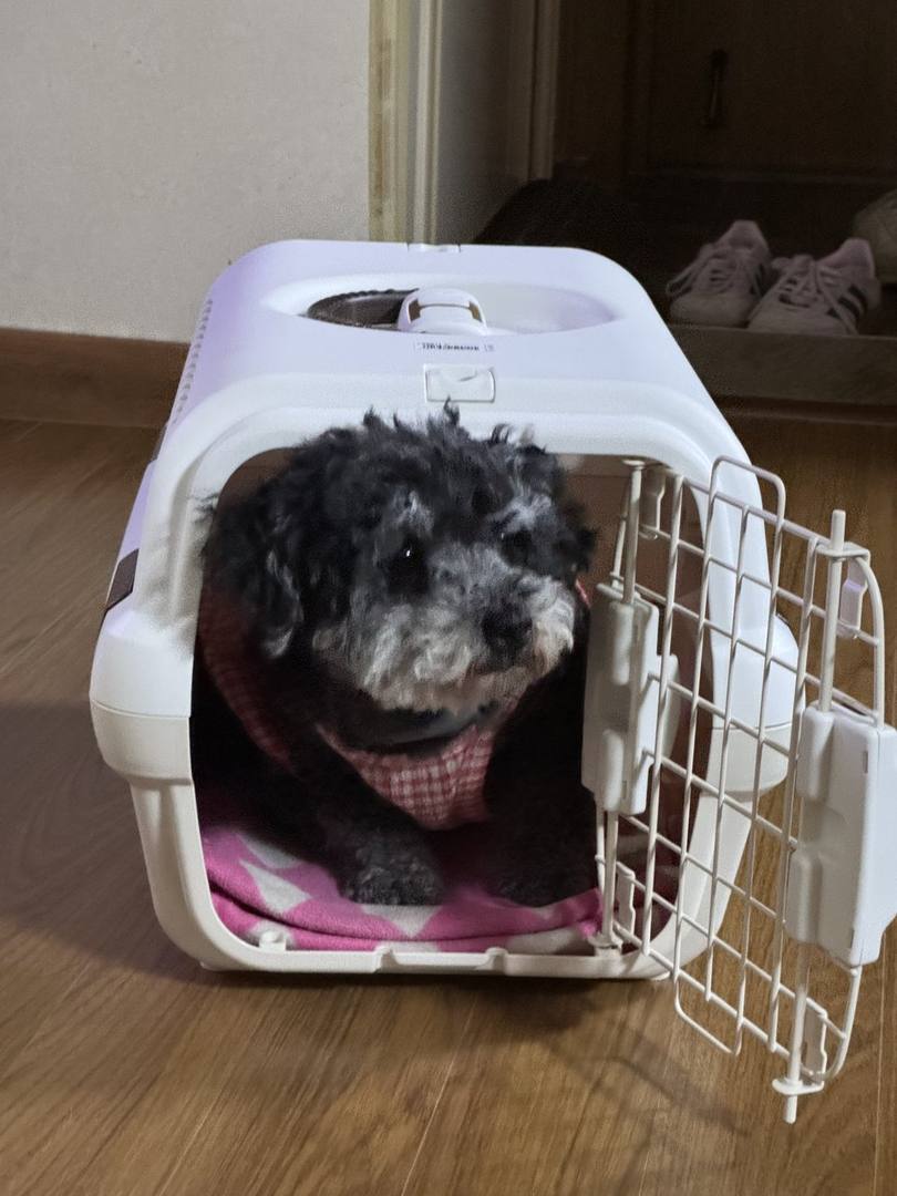 봉순