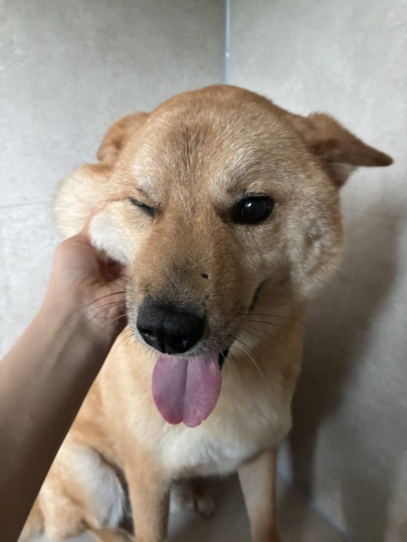 오오