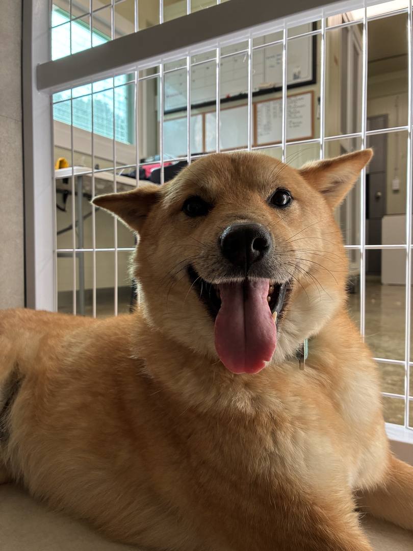 오오