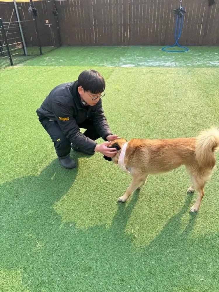 젬마