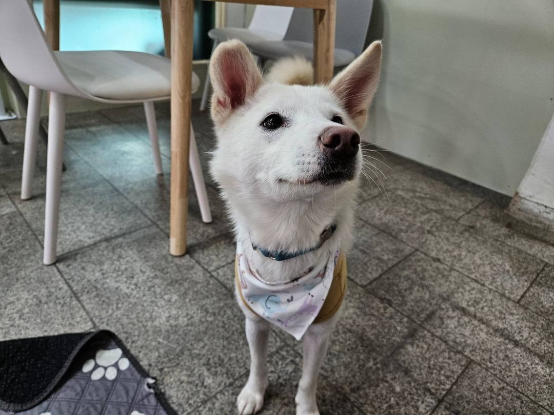 뽀뽀