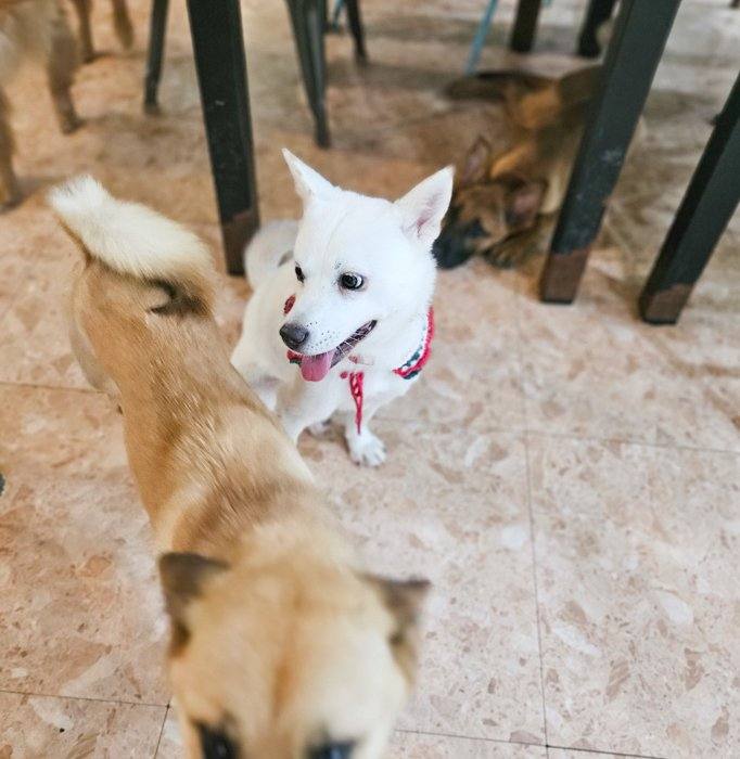 나르