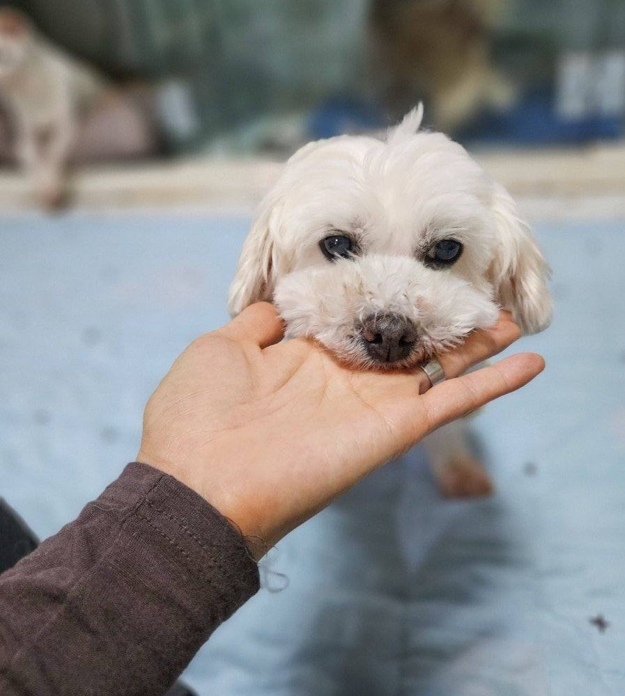 치유