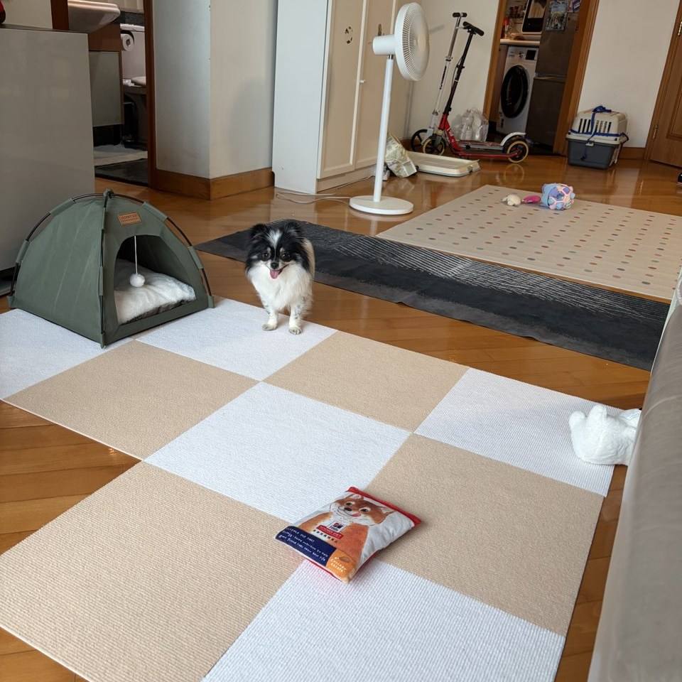 포슬
