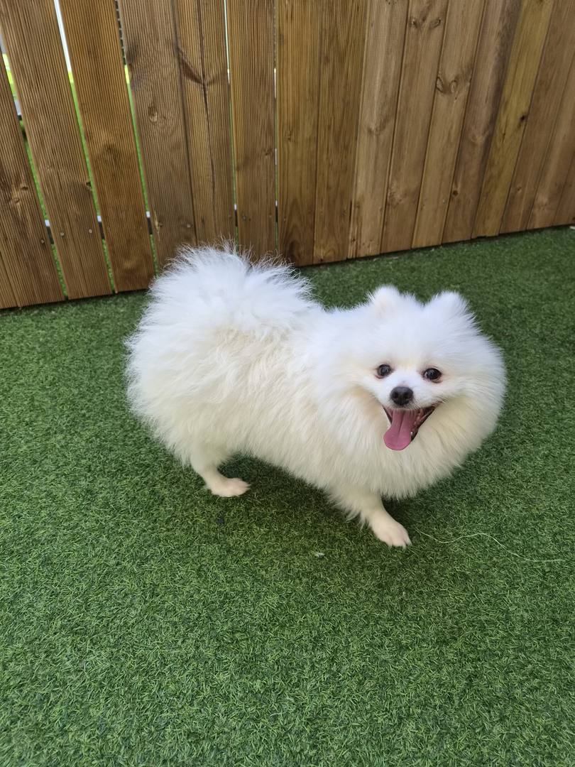 광주) 뭉치