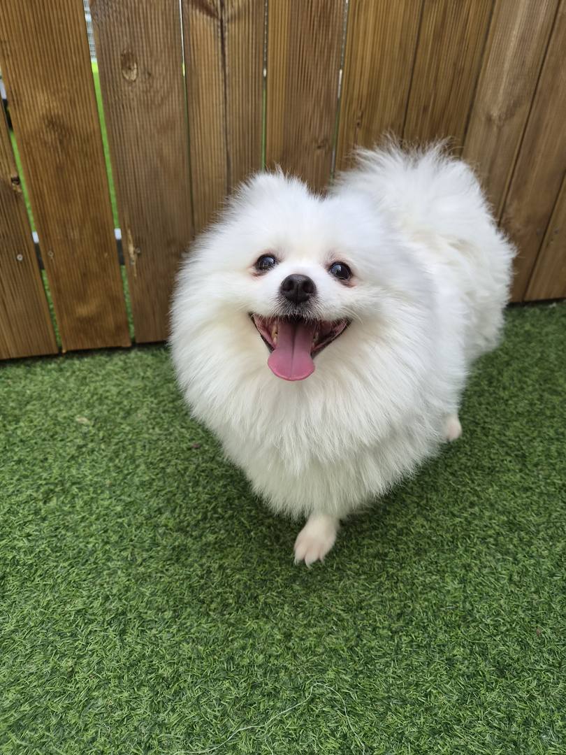 광주) 뭉치