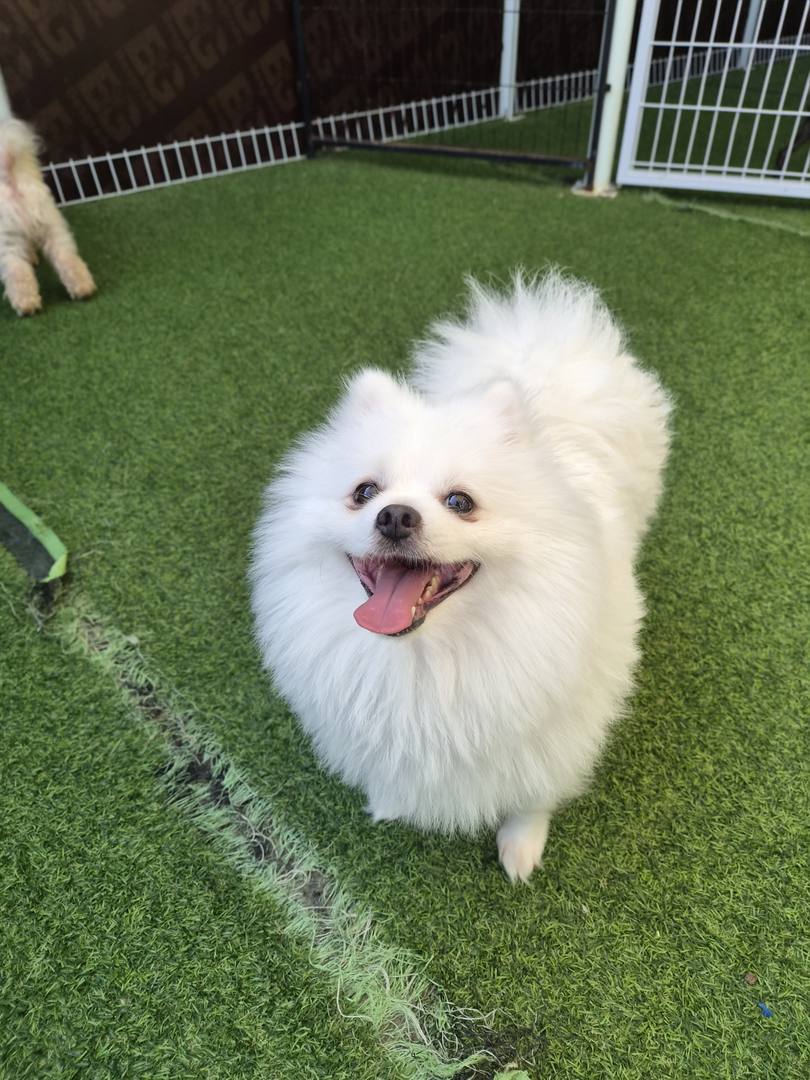 광주) 뭉치