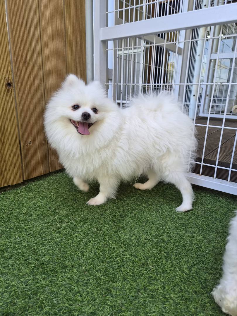 광주) 뭉치