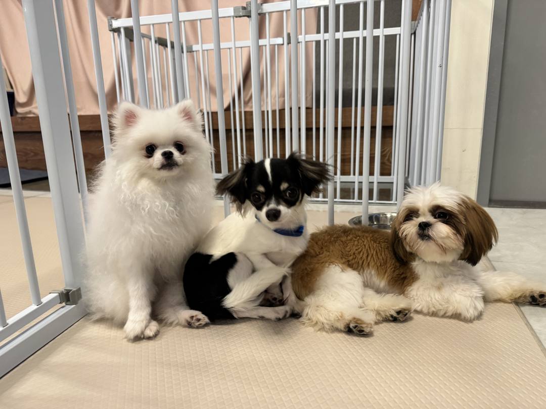 통키