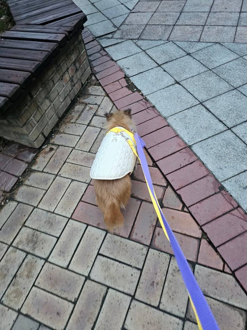 하리(광주시보)