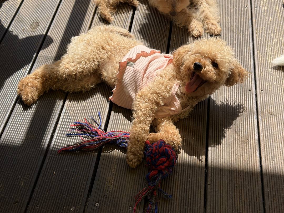유진