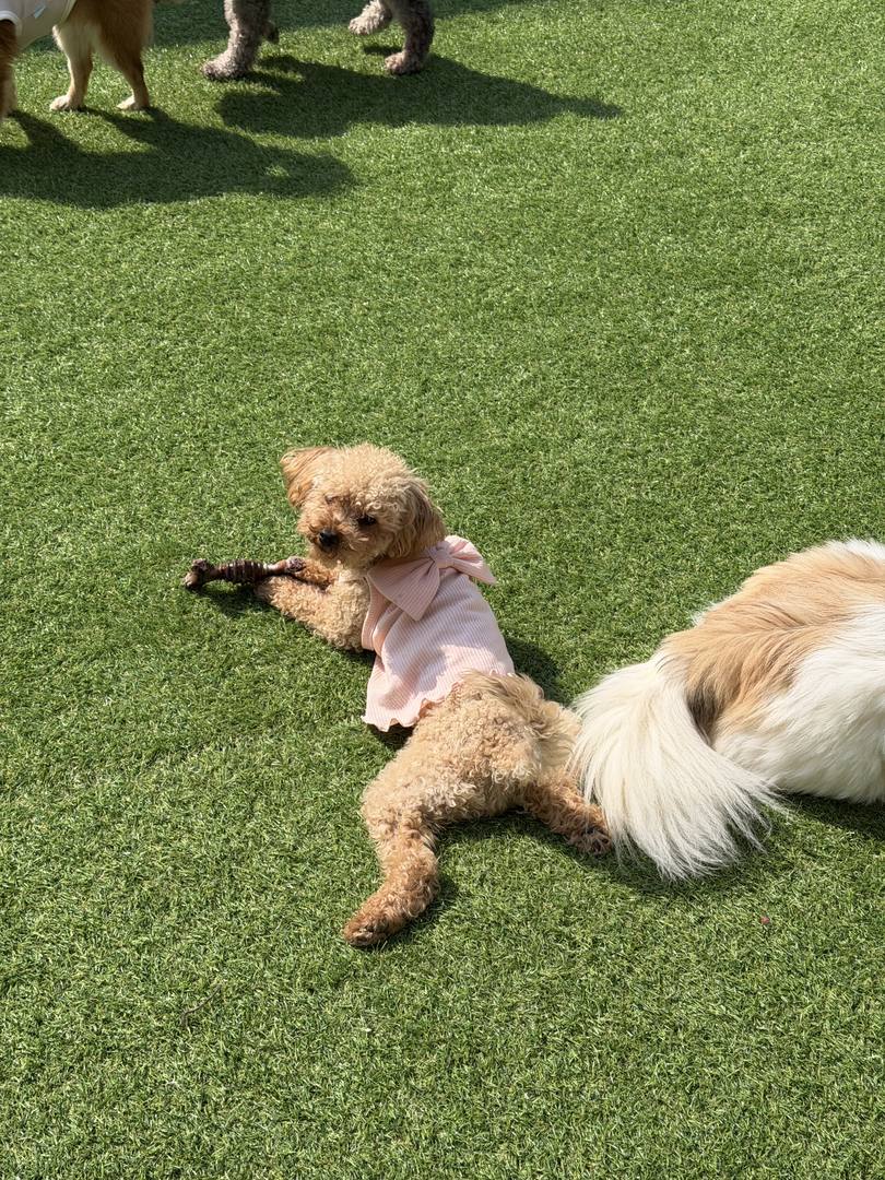 유진