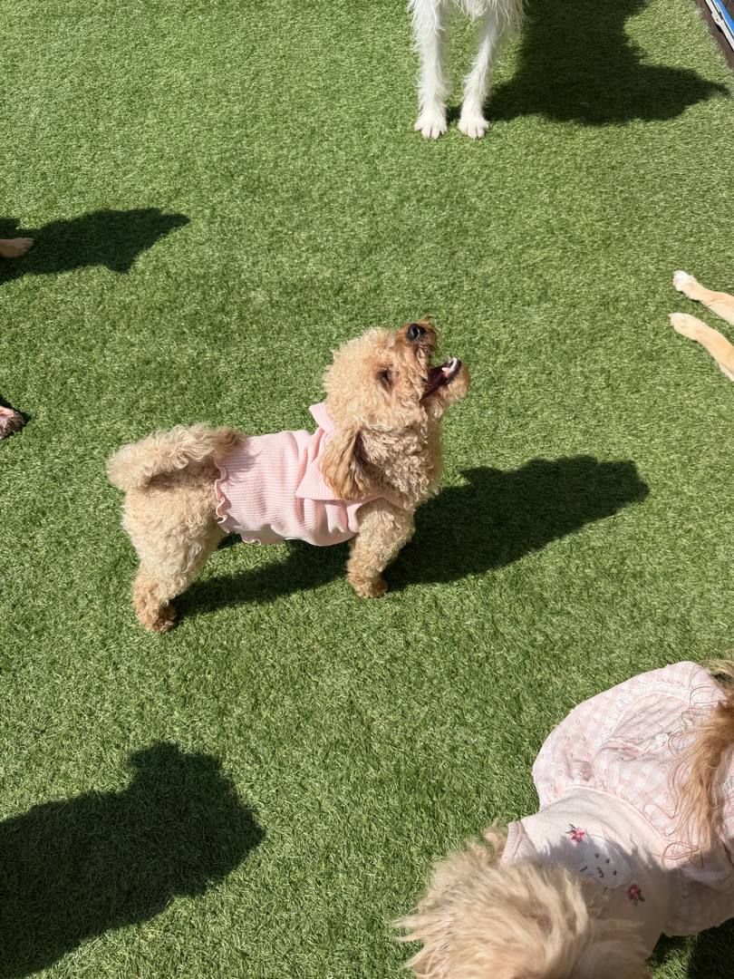 유진