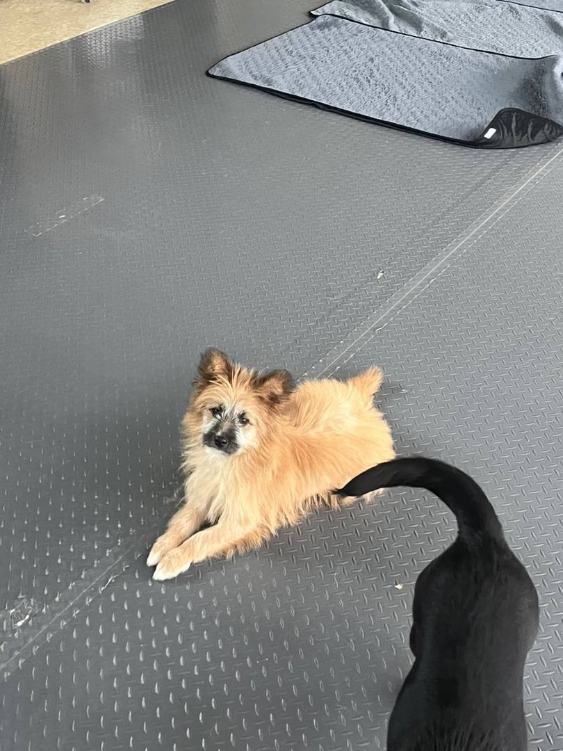 꾸꾸