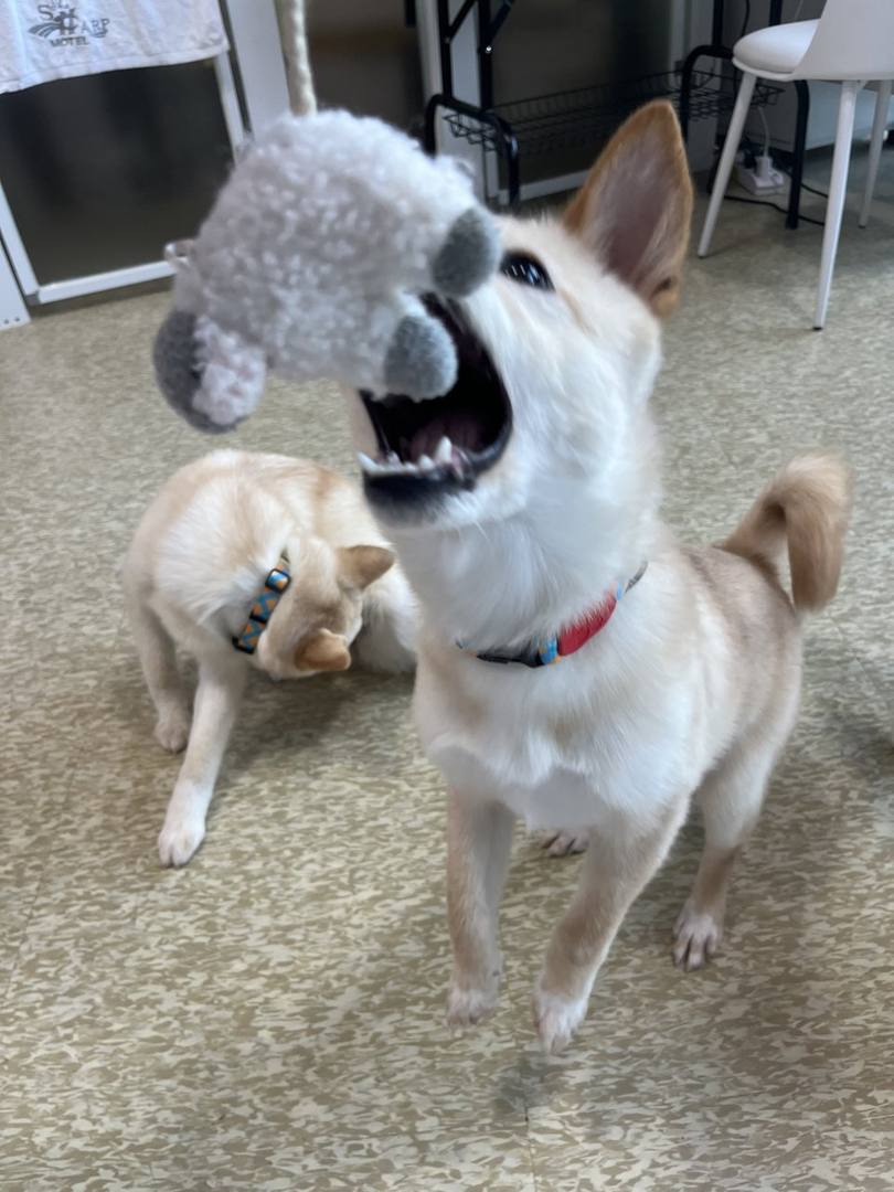 여름