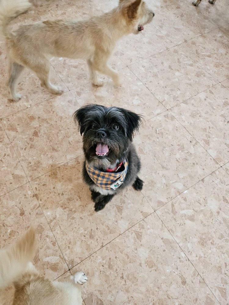 오리온