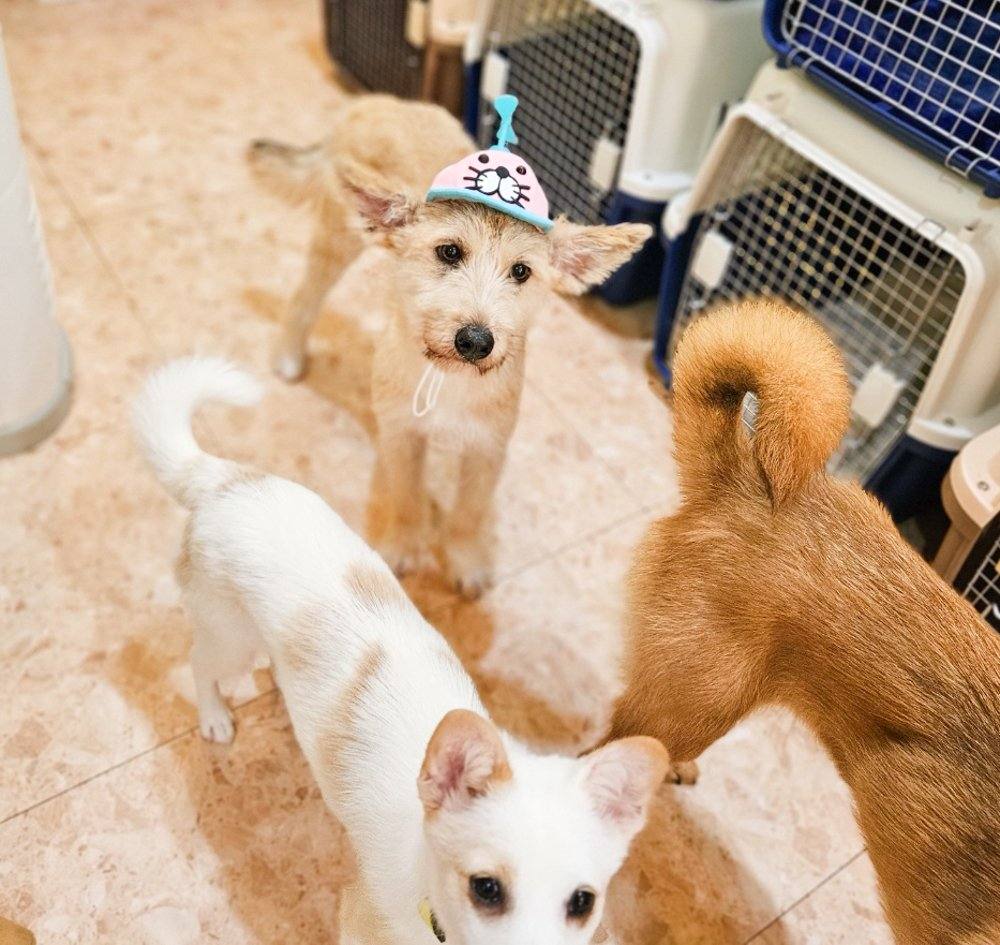 럭키