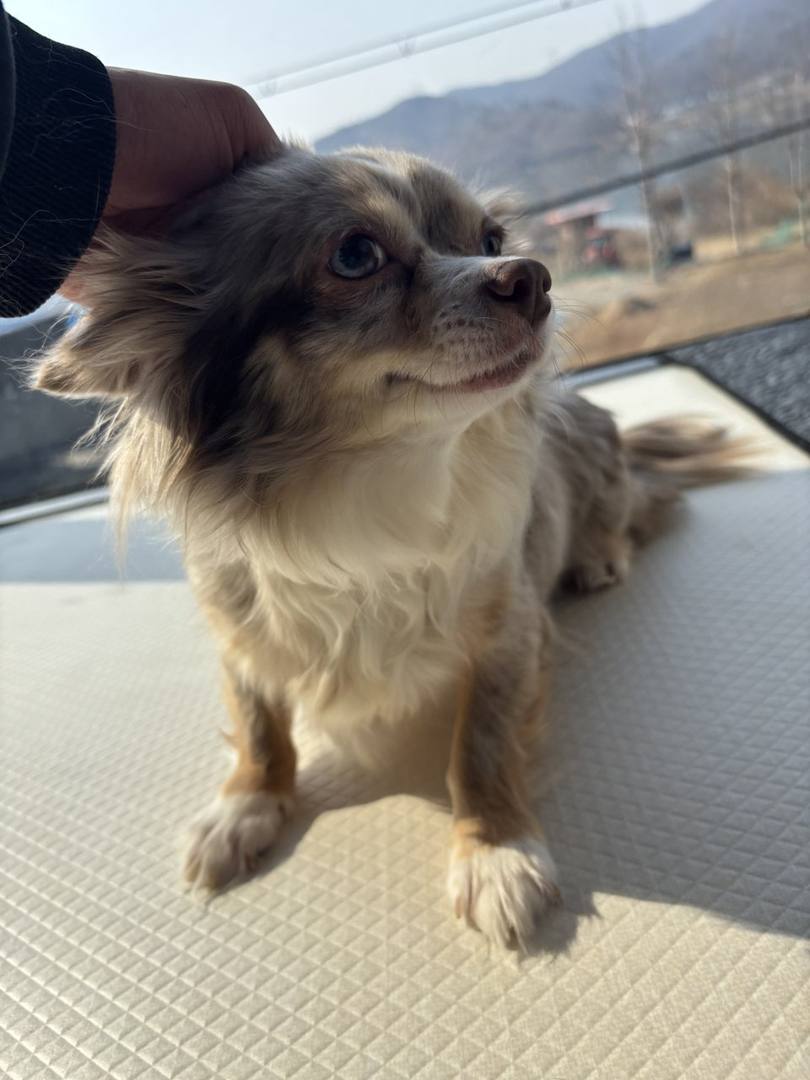 희성