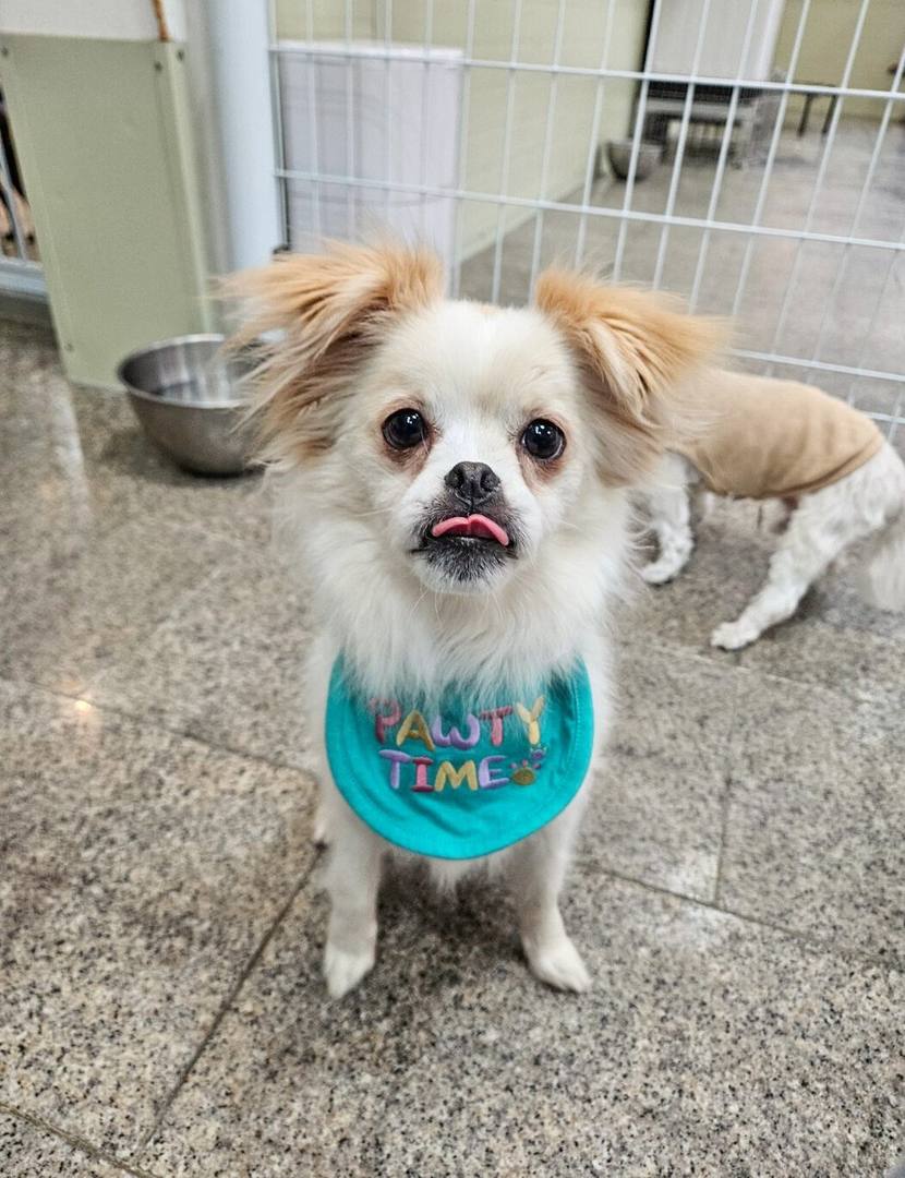 Lalla
