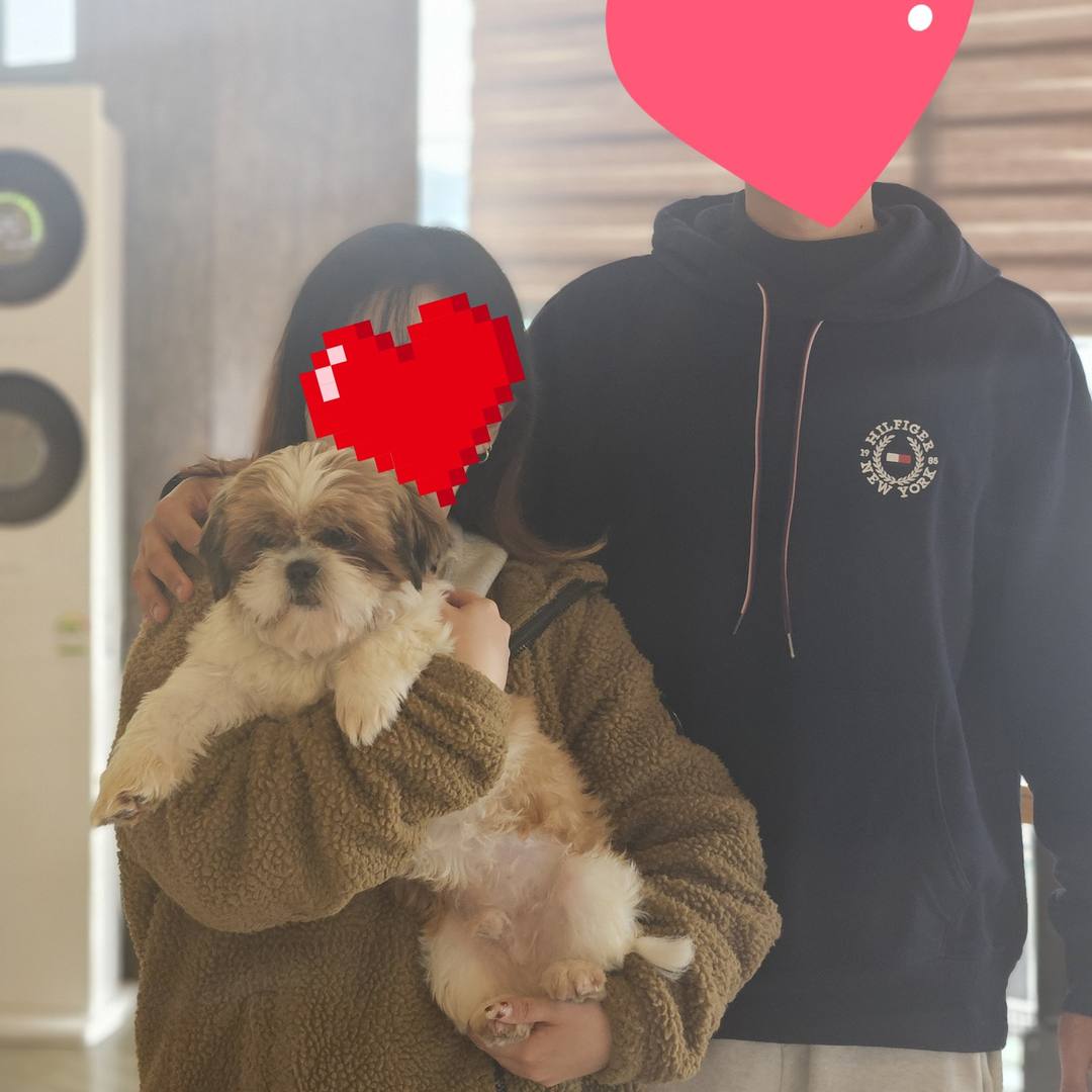 뉴뉴