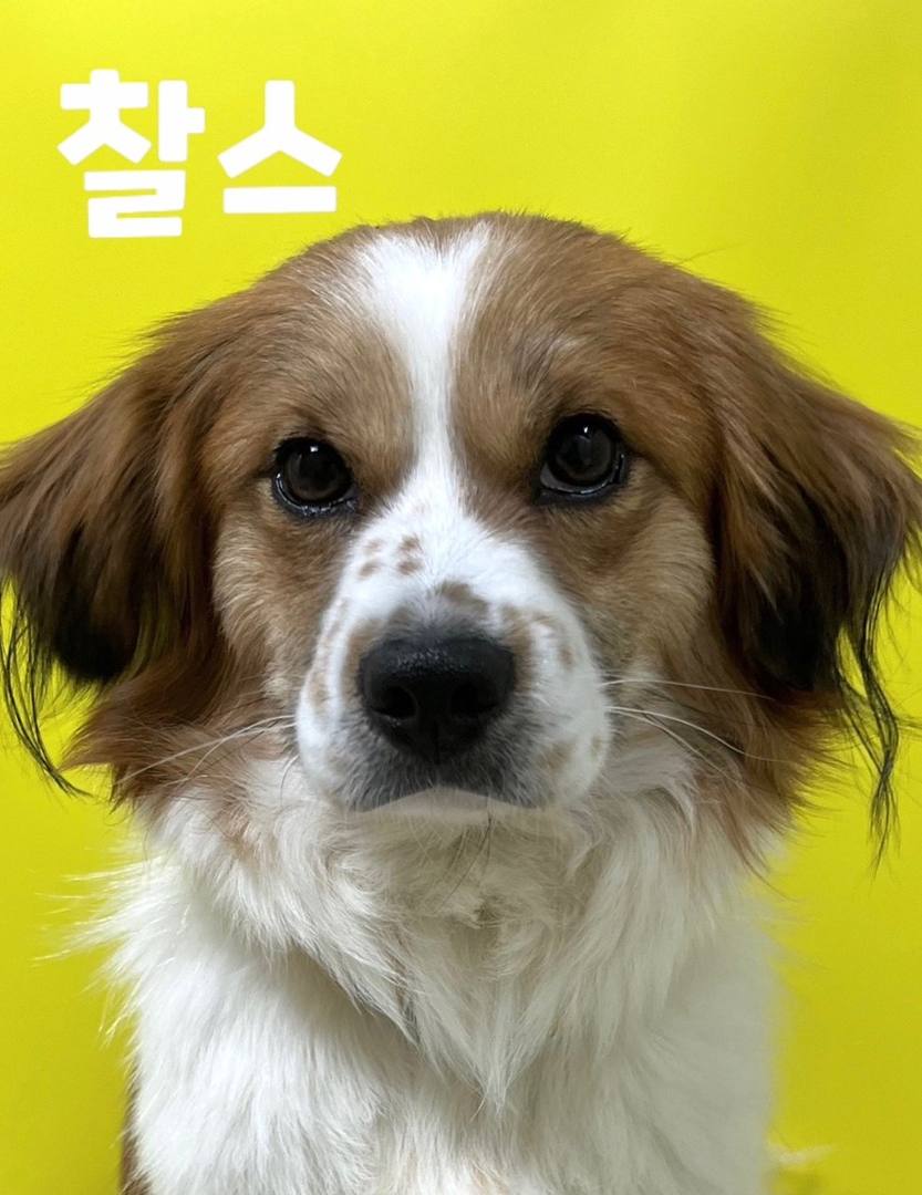 찰스