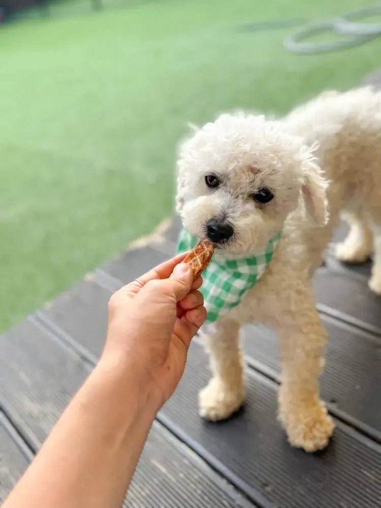 타카