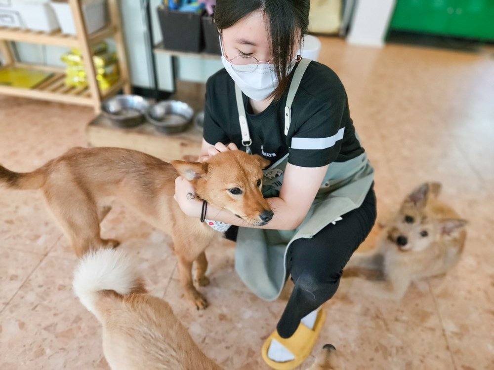 미호
