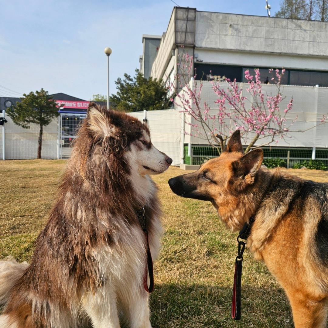 가을