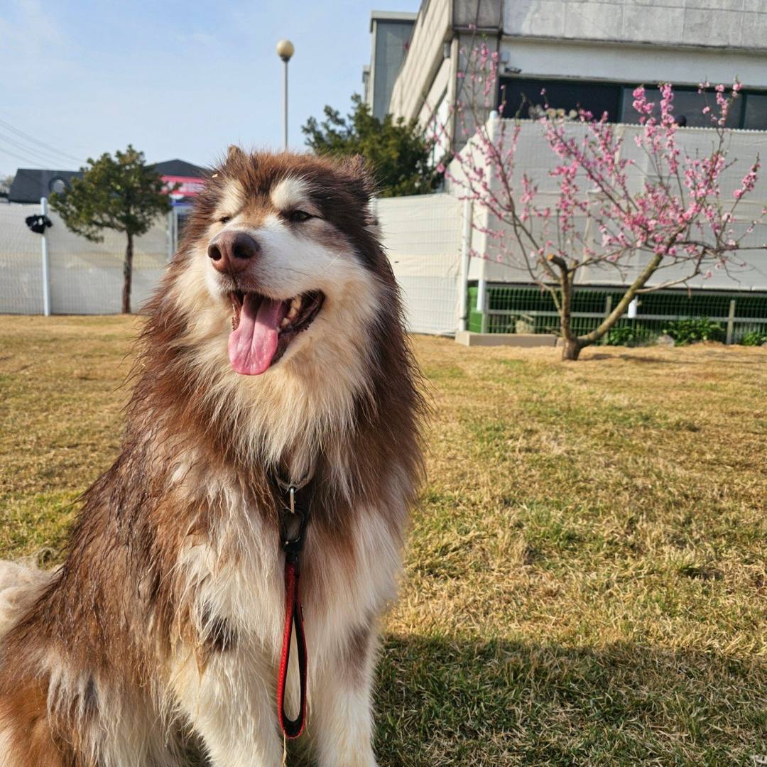 가을