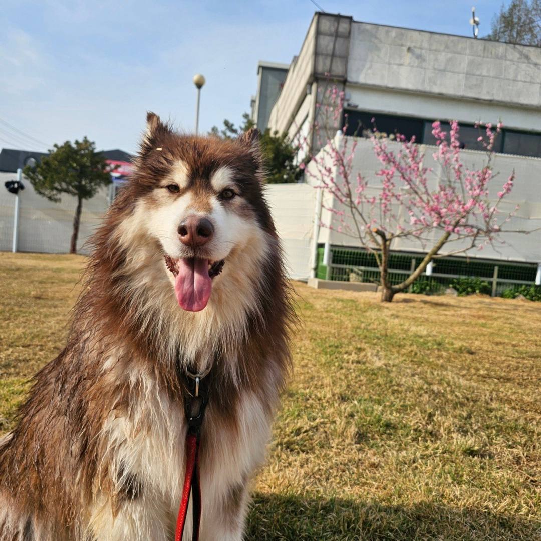 가을