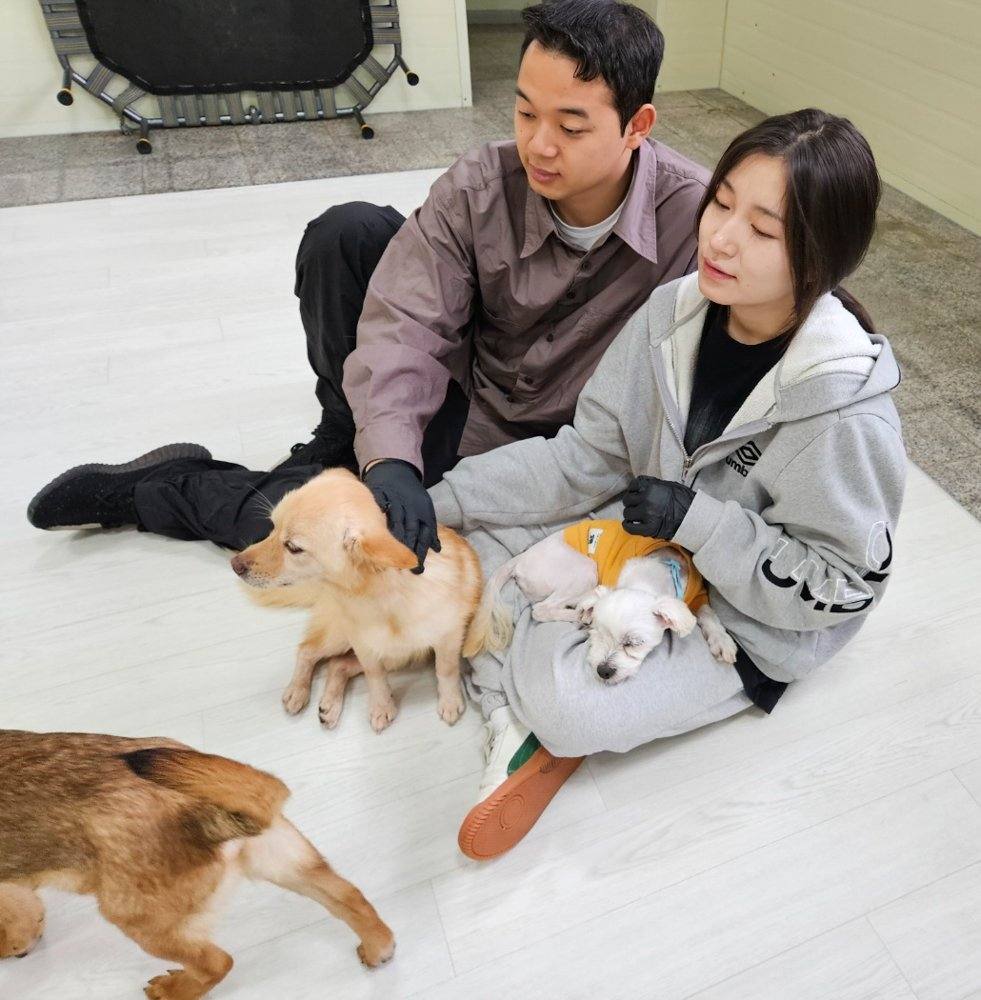 슈만