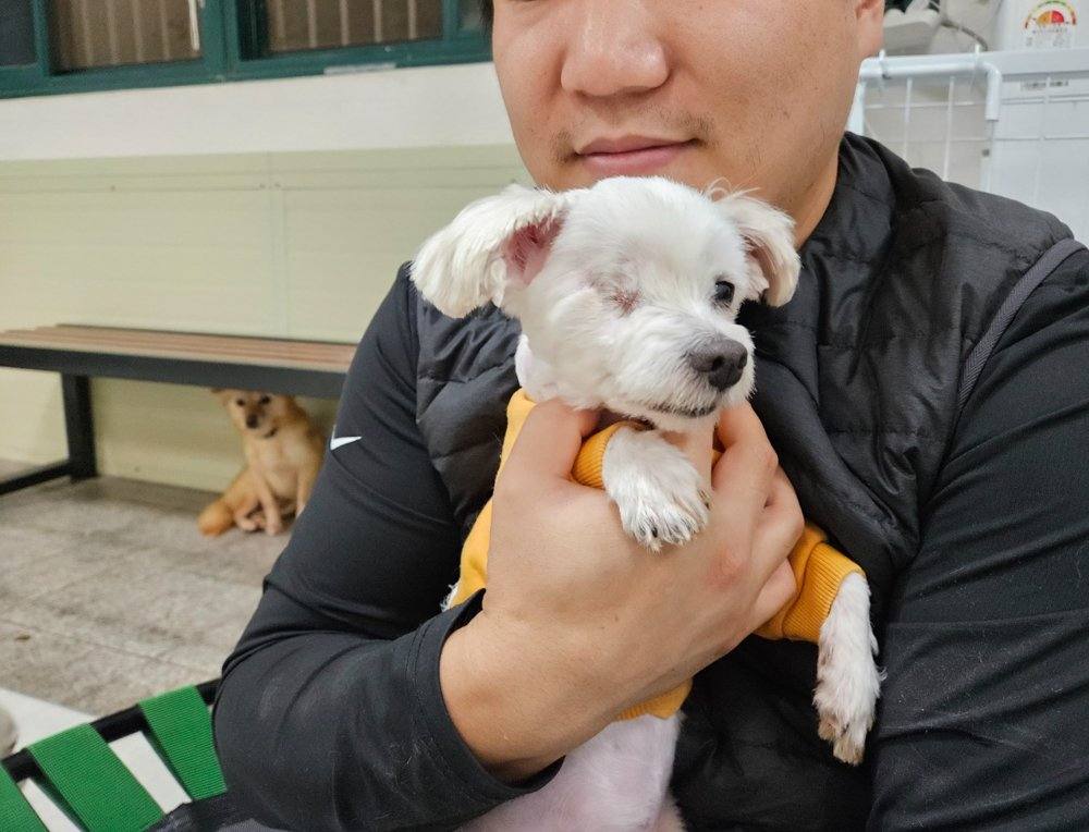 슈만