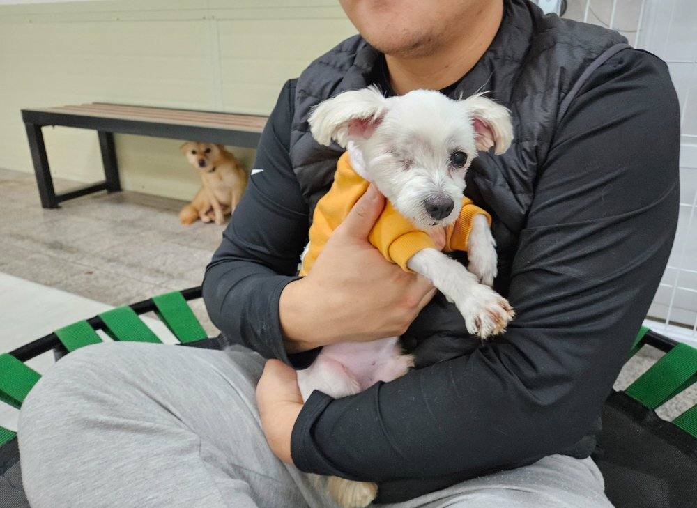 슈만
