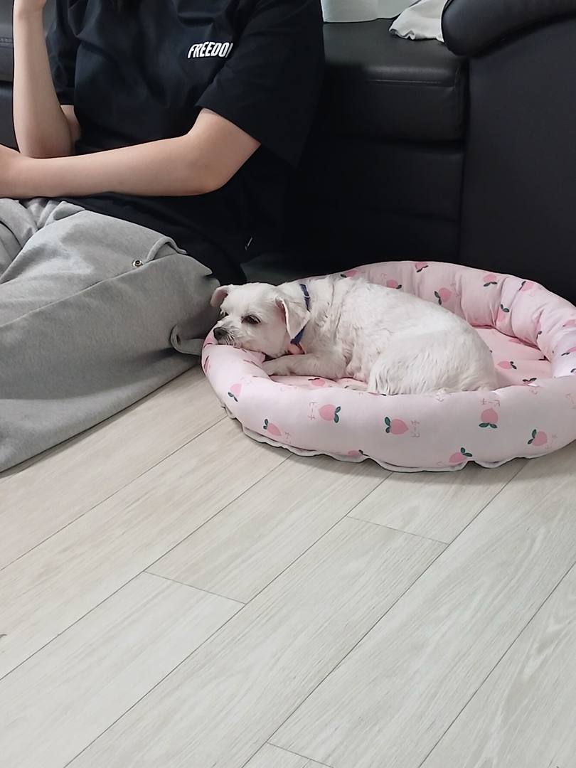 마리