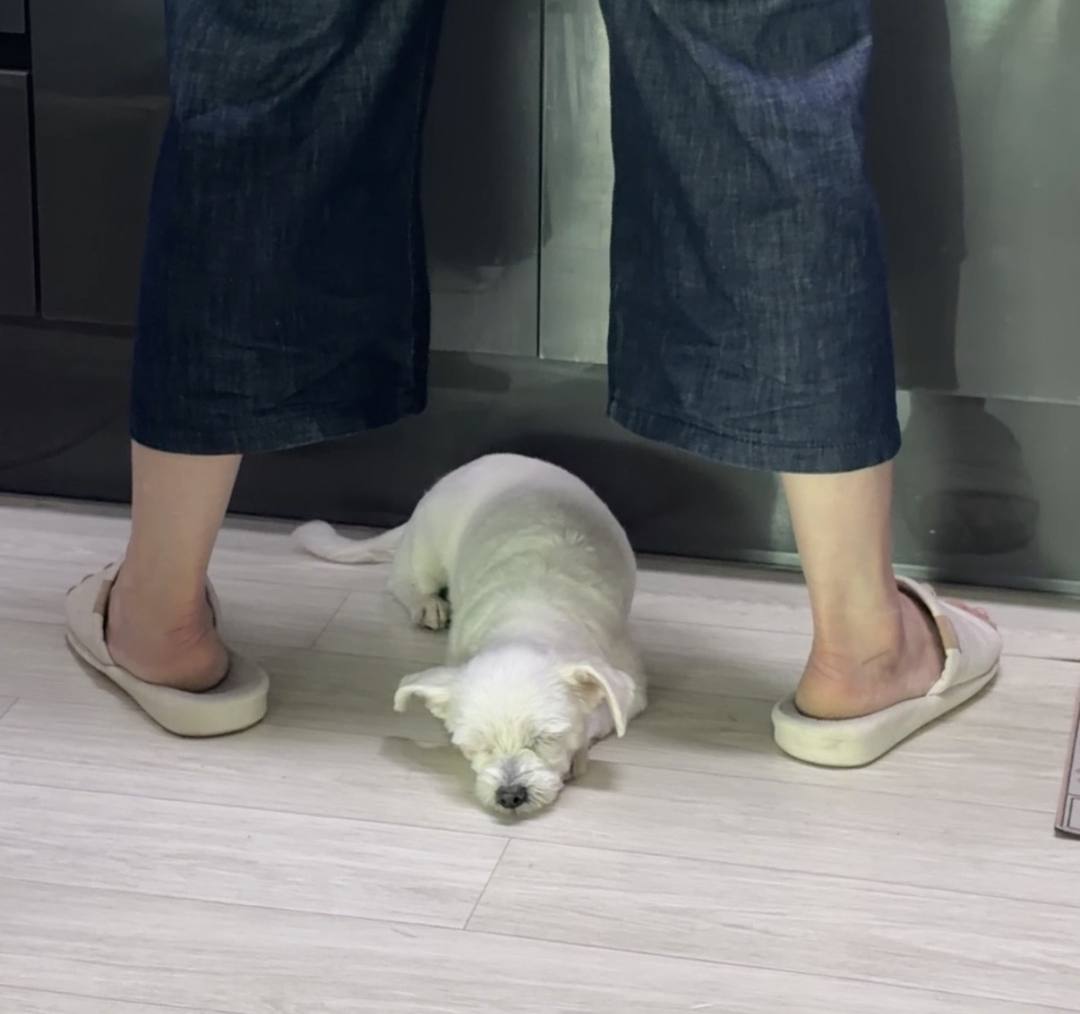 마리