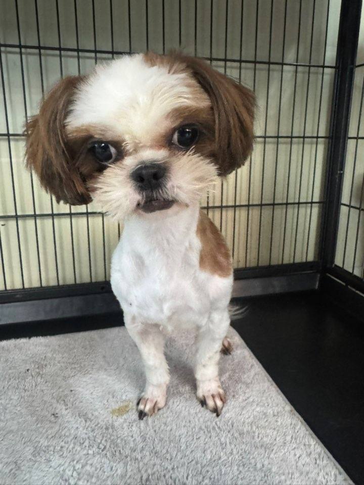 우노
