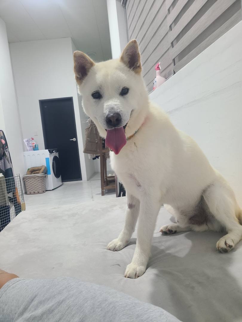 우제