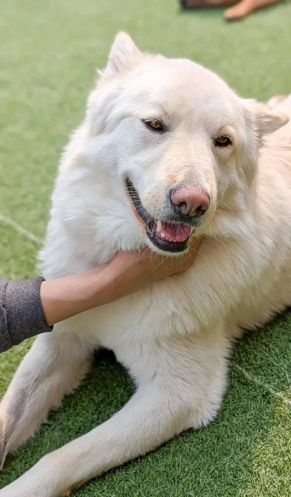 블랑코(밀양)
