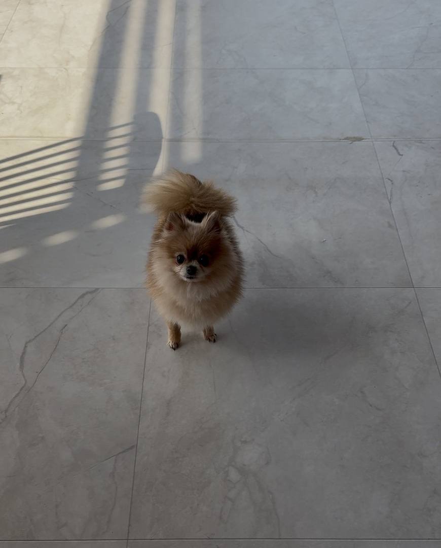 오잉