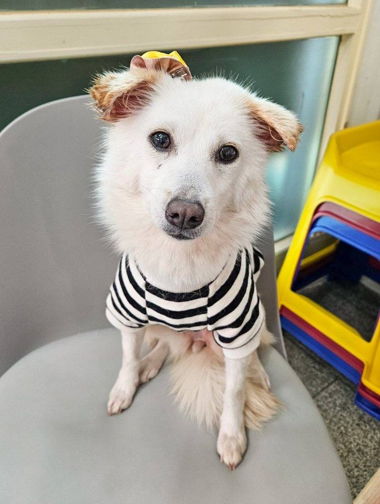 재하
