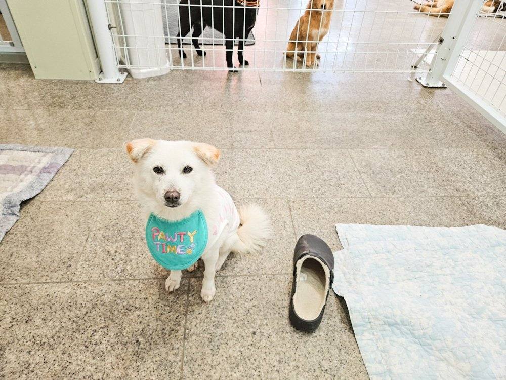 재하