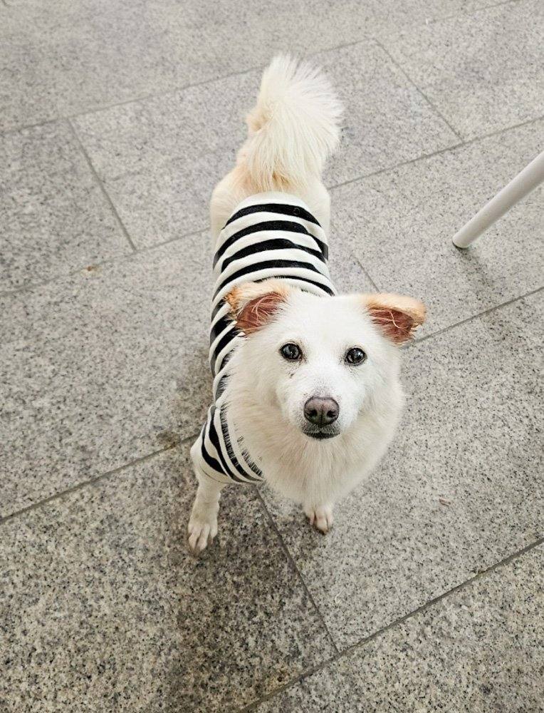 재하