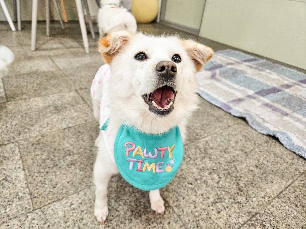 재하