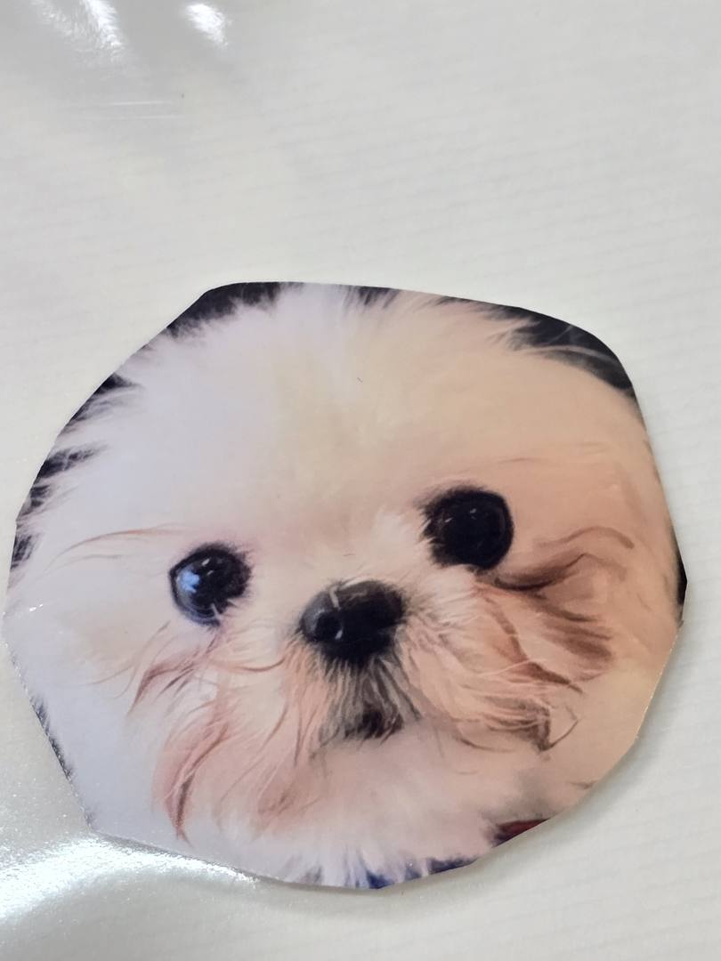 라온