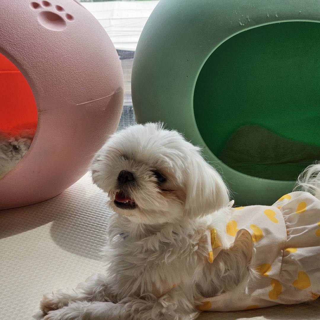 햇살
