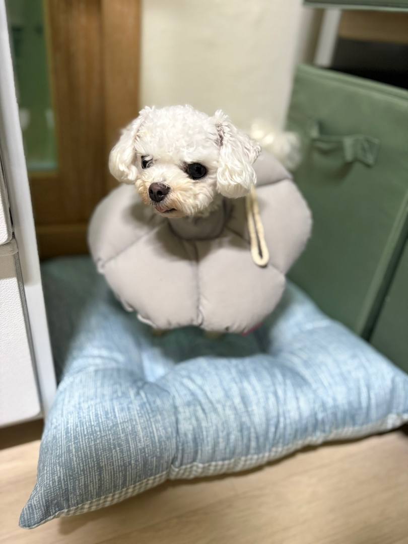 건이