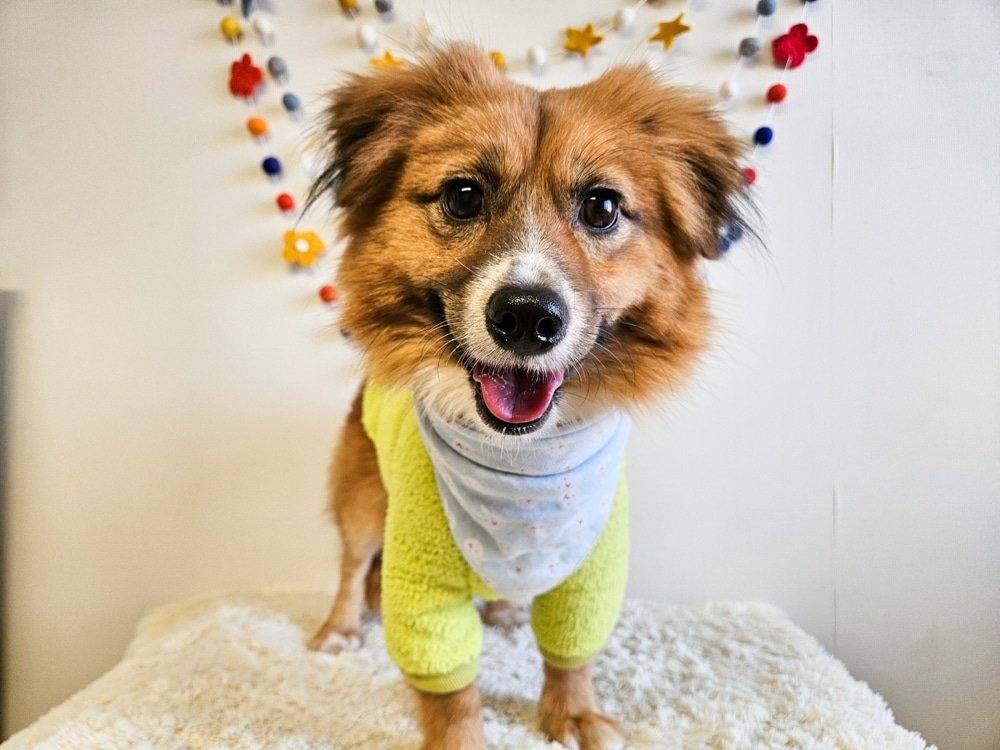 봉구