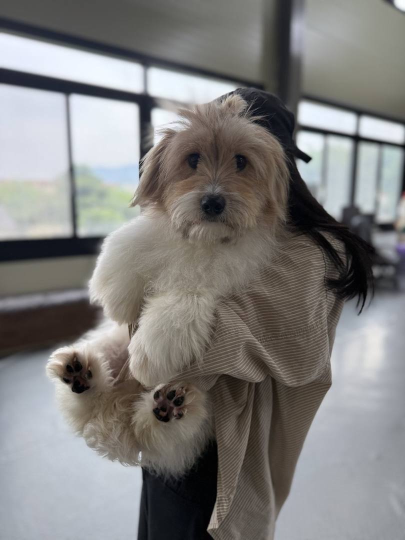 마일로