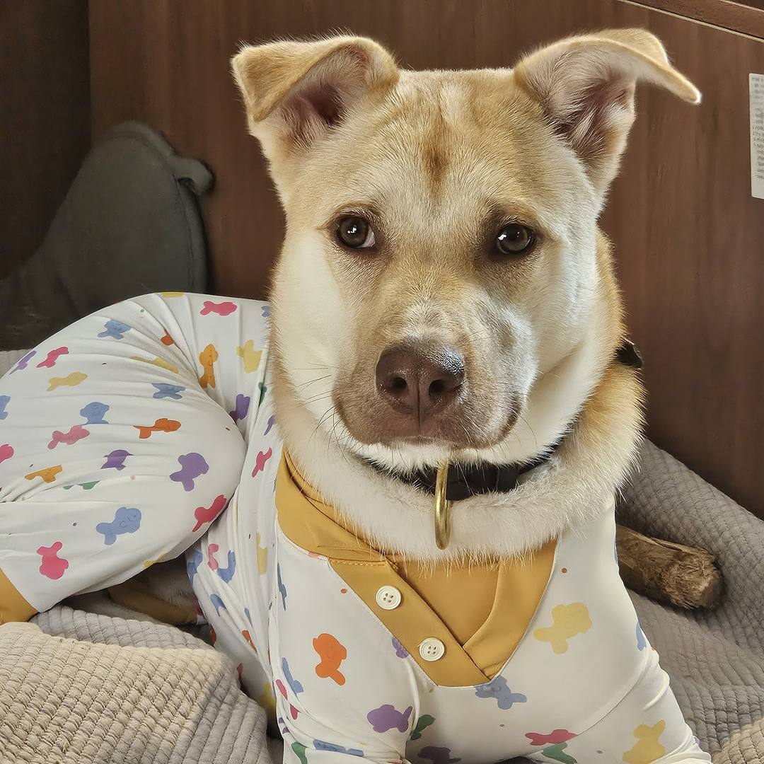 머피