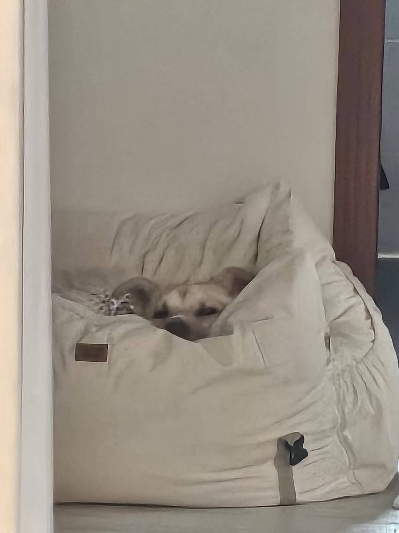 머피